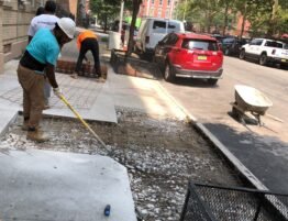 Sidewalk Violations in Queens